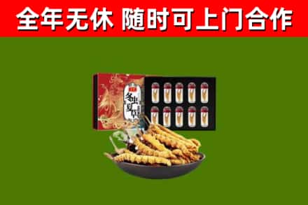 洮北回收冬虫夏草价格